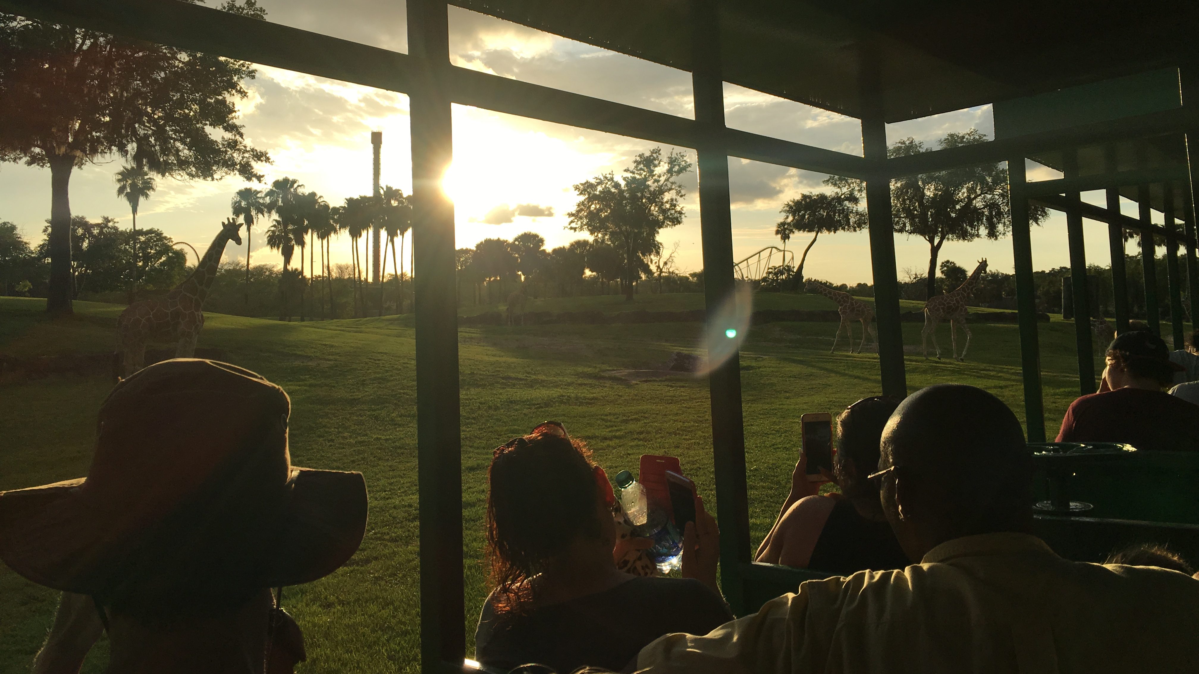 Sunset on the Serengeti at Busch Gardens
